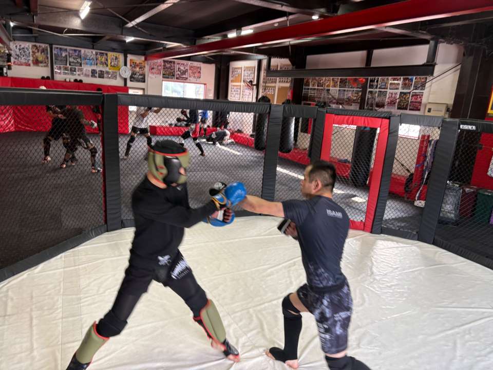 【土曜練習】燕#4756