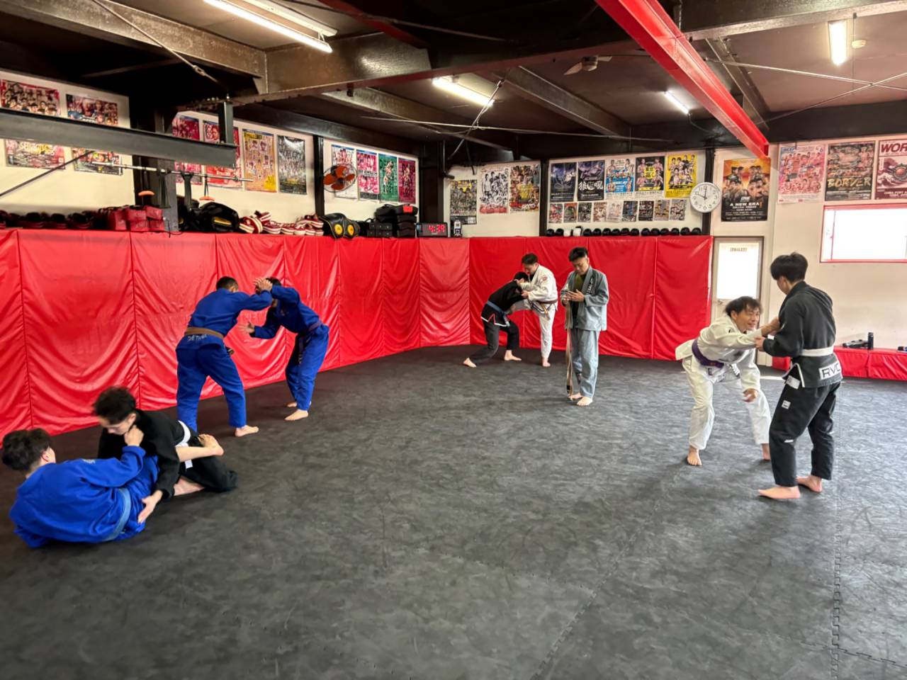 【日曜練習】燕#4581