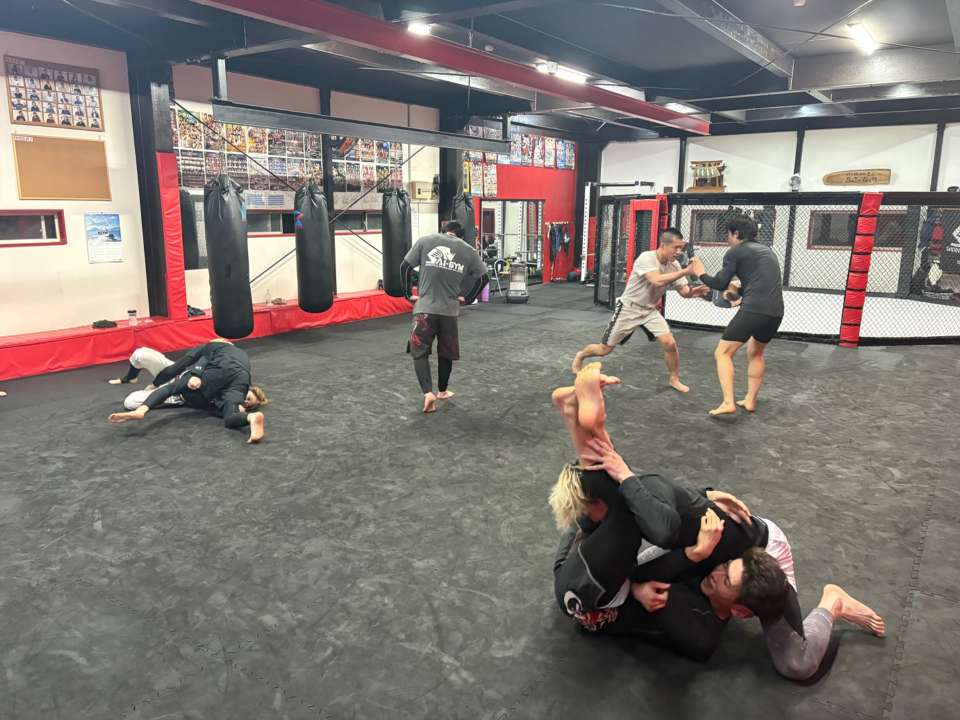 【木曜練習】燕#4585