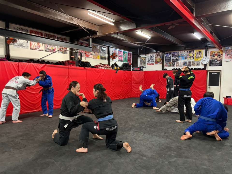 【月曜練習】燕#4589見附#445