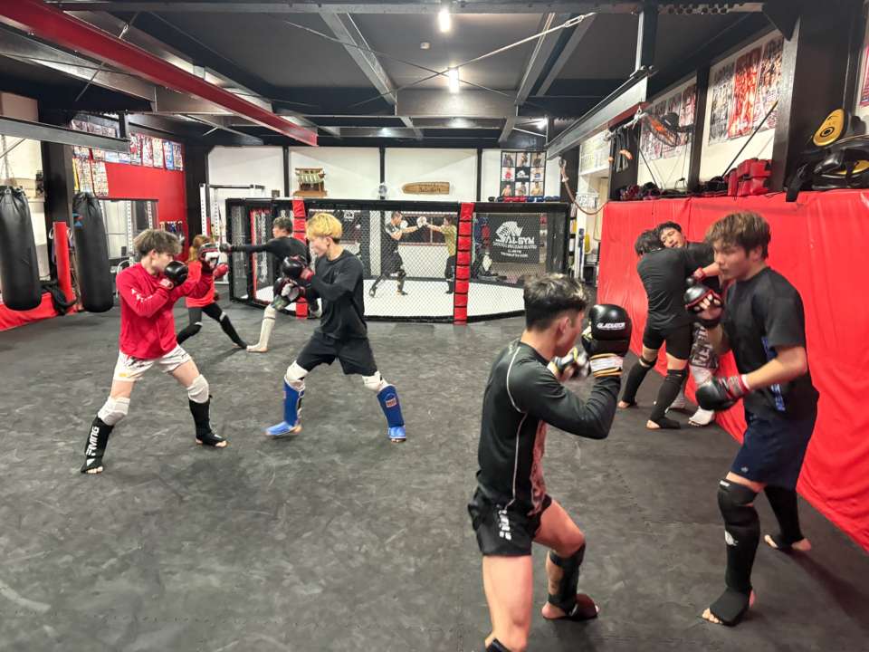 【火曜練習】燕#4590