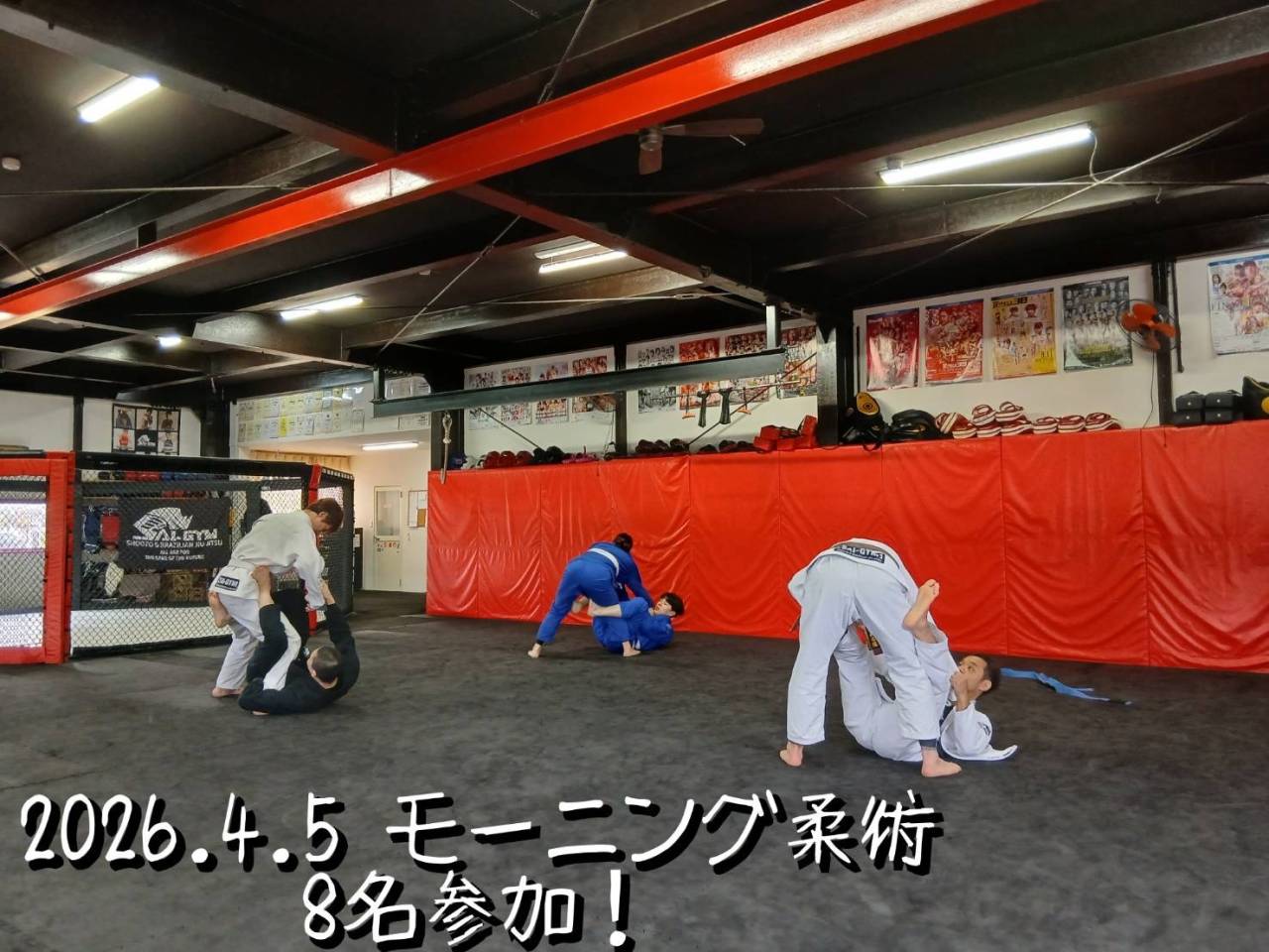 【日曜練習】燕#4875