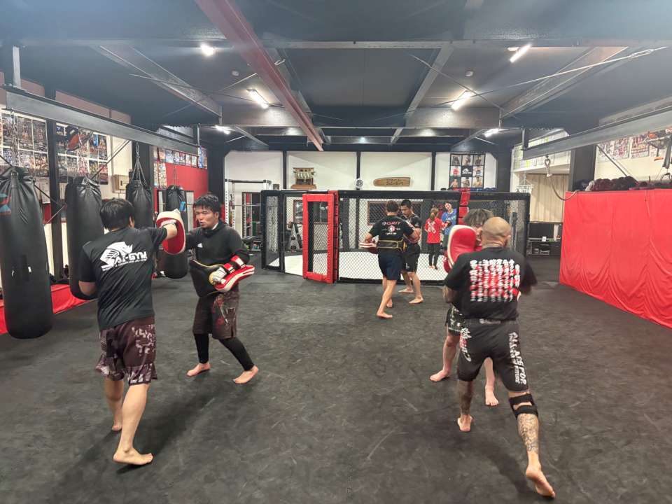 【火曜練習】燕#4884