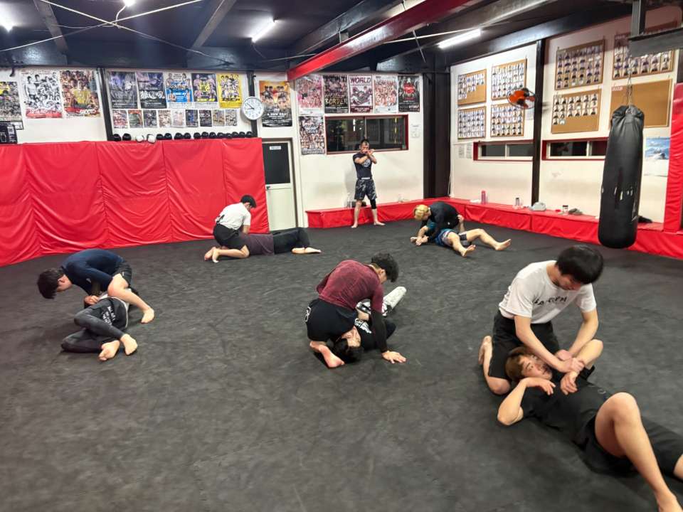 【木曜練習】燕#4886