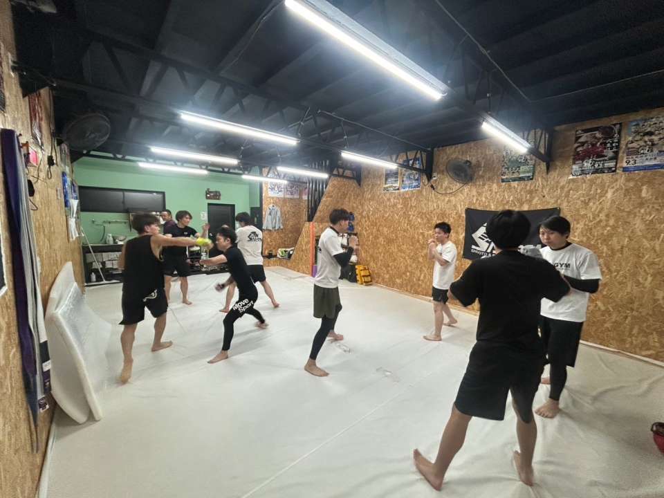 【金曜練習】燕#4887見附#453