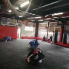 【日曜練習】燕#4788