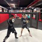 【火曜練習】燕#4877