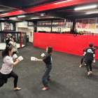 【木曜練習】燕#4879